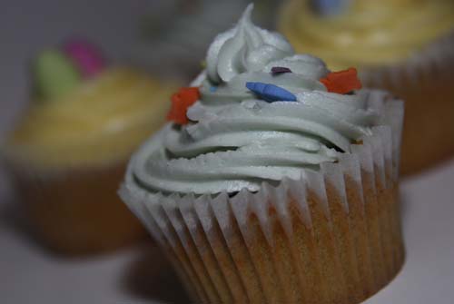 Animal fun Animal fun